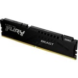 Kingston FURY FURY KF556C40BB-16 memoria 16 GB 1 x 16 GB DDR5 5600 MHz Nero, 16 GB, 1 x 16 GB, DDR5, 5600 MHz, 288-pin DIMM, Nero