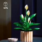 LEGO 11504, Giochi di costruzione 