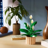 LEGO Botanicals Spatifillo, Giochi di costruzione 