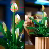 LEGO Botanicals Spatifillo, Giochi di costruzione 