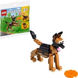 LEGO Giochi di costruzione