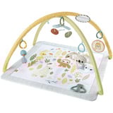 HRB15 palestra per bambino e tappeto di gioco Plastica Multicolore Palestrina a tappeto per bambino, Gioco di scheda/coperta