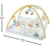 Mattel HRB15 palestra per bambino e tappeto di gioco Plastica Multicolore Palestrina a tappeto per bambino, Gioco di scheda/coperta Palestrina a tappeto per bambino, Arco giocattolo, Plastica, Multicolore