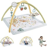 Mattel HRB15 palestra per bambino e tappeto di gioco Plastica Multicolore Palestrina a tappeto per bambino, Gioco di scheda/coperta Palestrina a tappeto per bambino, Arco giocattolo, Plastica, Multicolore