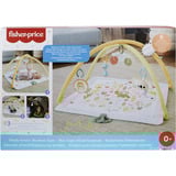 Mattel HRB15 palestra per bambino e tappeto di gioco Plastica Multicolore Palestrina a tappeto per bambino, Gioco di scheda/coperta Palestrina a tappeto per bambino, Arco giocattolo, Plastica, Multicolore