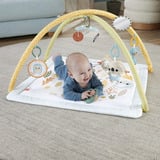 Mattel HRB15 palestra per bambino e tappeto di gioco Plastica Multicolore Palestrina a tappeto per bambino, Gioco di scheda/coperta Palestrina a tappeto per bambino, Arco giocattolo, Plastica, Multicolore