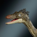 Mattel Hammond Collection Troodon, Gioco figura Jurassic World Hammond Collection Troodon, 8 anno/i, Verde