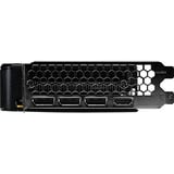 Palit GeForce RTX 5050 Dual 8GB, Scheda grafica 
