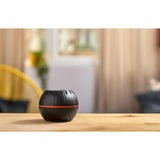 Shelly H&T, Rilevatore termico Nero