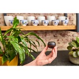 Shelly H&T, Rilevatore termico Nero