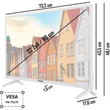 Telefunken XF32SN550SD-W, Televisore LED bianco