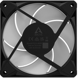 ARCTIC BioniX P12 A-RGB, Ventola Nero/Bianco