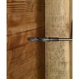 Bosch Punta PRO Wood HSS per casseforme e installazioni, Ø 20mm, Trapano 