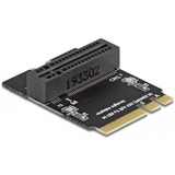 DeLOCK 64137, Scheda di interfaccia 