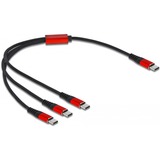 DeLOCK 86712 cavo USB 0,3 m USB 2.0 USB C 3x USB C Nero, Rosso Nero/Rosso, 0,3 m, USB C, 3x USB C, USB 2.0, Nero, Rosso