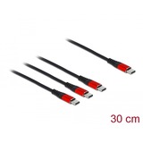 DeLOCK 86712 cavo USB 0,3 m USB 2.0 USB C 3x USB C Nero, Rosso Nero/Rosso, 0,3 m, USB C, 3x USB C, USB 2.0, Nero, Rosso