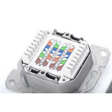 Digitus Presa dati CAT.6A, da incasso, schermata, 2x RJ-45 LSA, Scatola di giunzione bianco