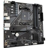 GIGABYTE B550M K, Scheda madre 