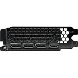 Gainward NE7506TS19T1-GB2061T, Scheda grafica 
