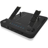 ICY BOX IB-2915MSCL-C31 USB 3.2 Gen 2 (3.1 Gen 2) Type-C Nero, Docking station HDD, SSD, SATA, Seriale ATA II, Serial ATA III, 2.5,3.5,M.2, USB 3.2 Gen 2 (3.1 Gen 2) Type-C, Nero, Plastica