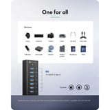ICY BOX IB-AC618a, Hub USB Nero