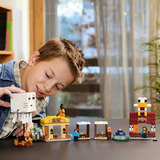 LEGO 21273, Giochi di costruzione 