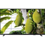 Philips 55PUS7609/12 TV 139,7 cm (55") 4K Ultra HD Smart TV Wi-Fi Antracite, Grigio, Televisore LED antracite/Nero, 139,7 cm (55"), 3840 x 2160 Pixel, LED, Smart TV, Wi-Fi, Antracite, Grigio