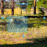 Reolink Reolink Trackmix Series G770 con Solarpanel 2, Telecamera di sorveglianza colore mimetico 