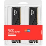 ADATA AX5U6000C3032G-DTLABBK Nero