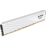 ADATA Lancer Blade memoria 32 GB 2 x 16 GB DDR5 5600 MT/s 288-pin DIMM Data Integrity Check (verifica integrità dati) bianco, 32 GB, 2 x 16 GB, DDR5, 288-pin DIMM, Bianco