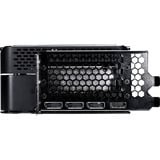 Gainward NE75080019T2-GB2030P, Scheda grafica 