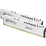 Kingston FURY KF560C36BWEK2-64, Memoria bianco