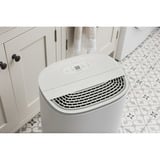 Meaco Dry Arete One 20L Deumidificatore a compressore e purificatore d'aria bianco/Beige