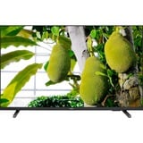 Philips 43PUS7609/12, Televisore LED Nero/antracite
