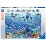 Ravensburger 17444 