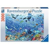 Ravensburger Puzzle Divertimento sottomarino colorato 