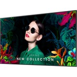 SAMSUNG QM55C Pannello piatto per segnaletica digitale 139,7 cm (55") LCD Wi-Fi 500 cd/m² 4K Ultra HD Nero Tizen 24/7, Public Display Nero, Pannello piatto per segnaletica digitale, 139,7 cm (55"), LCD, 3840 x 2160 Pixel, Wi-Fi, 24/7