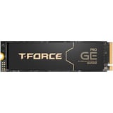 Team Group TM8FG3002T0C133, Disco a stato solido Nero/Oro