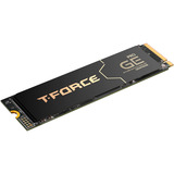 Team Group TM8FG3002T0C133, Disco a stato solido Nero/Oro