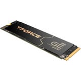 Team Group TM8FG3002T0C133, Disco a stato solido Nero/Oro