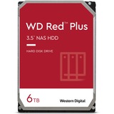 WD WD Red Plus 3.5" 6000 GB Serial ATA III, Hard-disk 3.5", 6000 GB, 5400 Giri/min