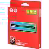 ADATA DIMM 32 GB DDR5-8000 (2x 16 GB) Kit duale, Memoria argento