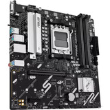 ASUS PRIME A620AM-A-CSM, Scheda madre 