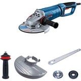 Bosch GWS 27-230 JR Professional, 06018C7300, Smerigliatrice angolare blu