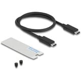 DeLOCK Custodia per unità M.2 NVMe USB 40 Gbps stile gaming, Disk enclosure grigio