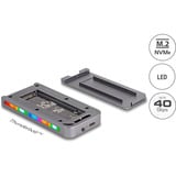 DeLOCK Custodia per unità M.2 NVMe USB 40 Gbps stile gaming, Disk enclosure grigio