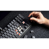 ENDORFY EY5D036, Tastiera da gioco grigio