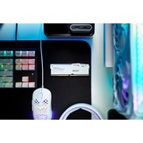 Kingston FURY KF560C36BWEAK2-64, Memoria bianco