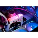 Kingston FURY KF560C36BWEAK2-64, Memoria bianco