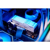 Kingston FURY KF560C36BWEAK2-64, Memoria bianco